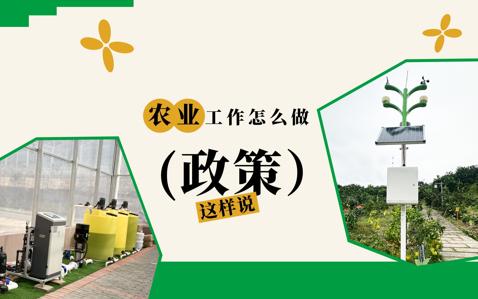 农业工作怎么做？这些政策说了！