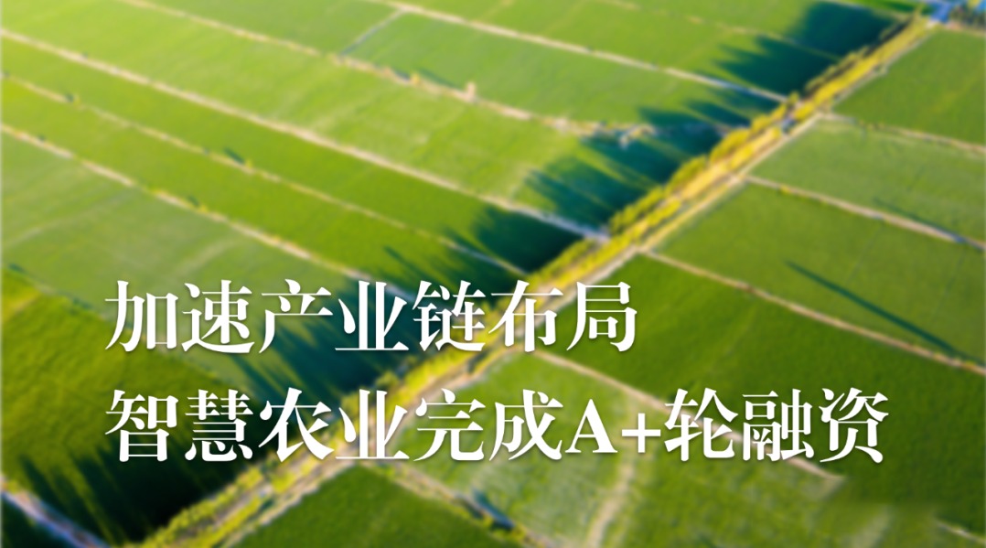 加速农业产业链布局，古怪猴子试玩官网入口农业完成A+轮融资