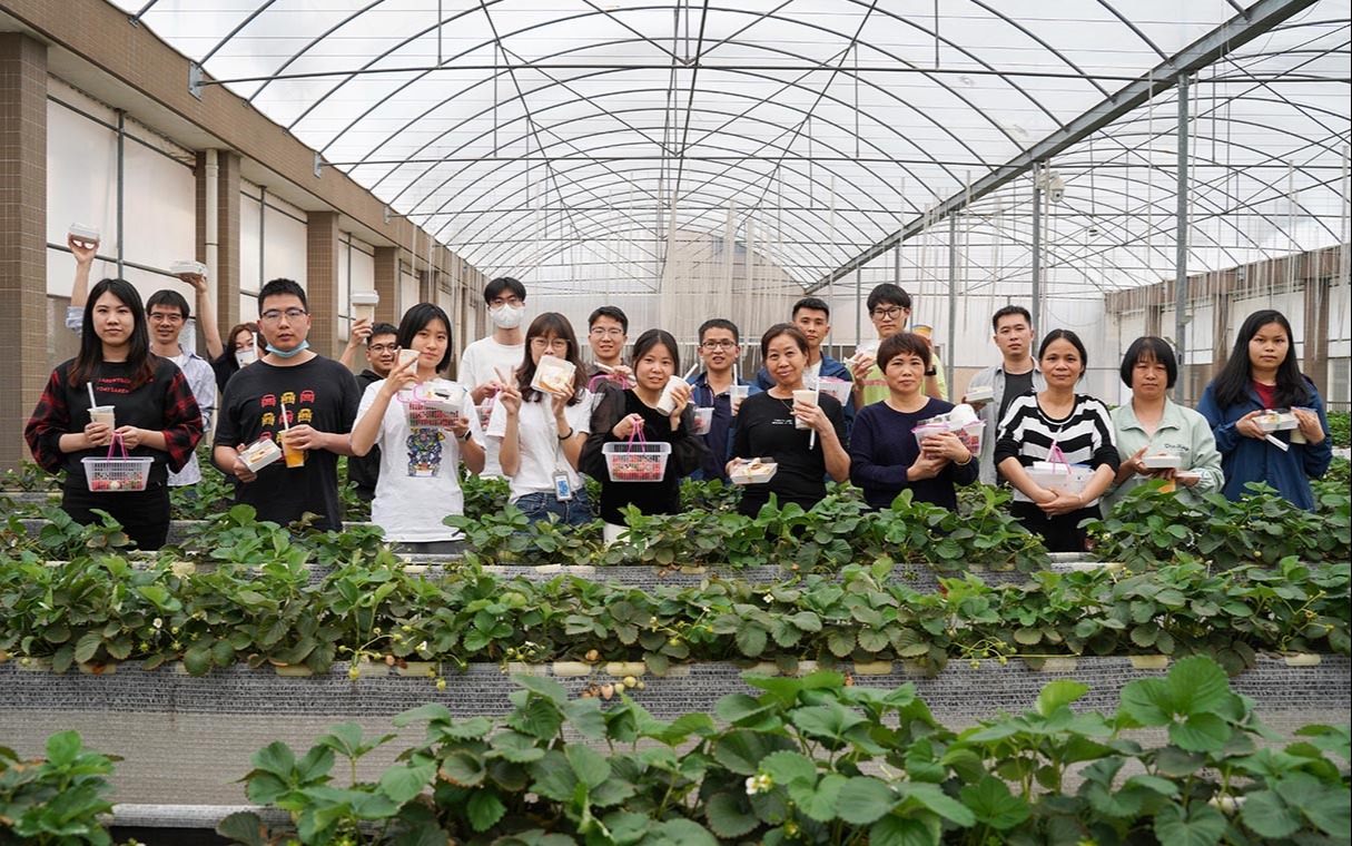 一个科技的古怪猴子试玩官网入口大棚，一场别样的草莓采摘，一群可爱的3月小寿星