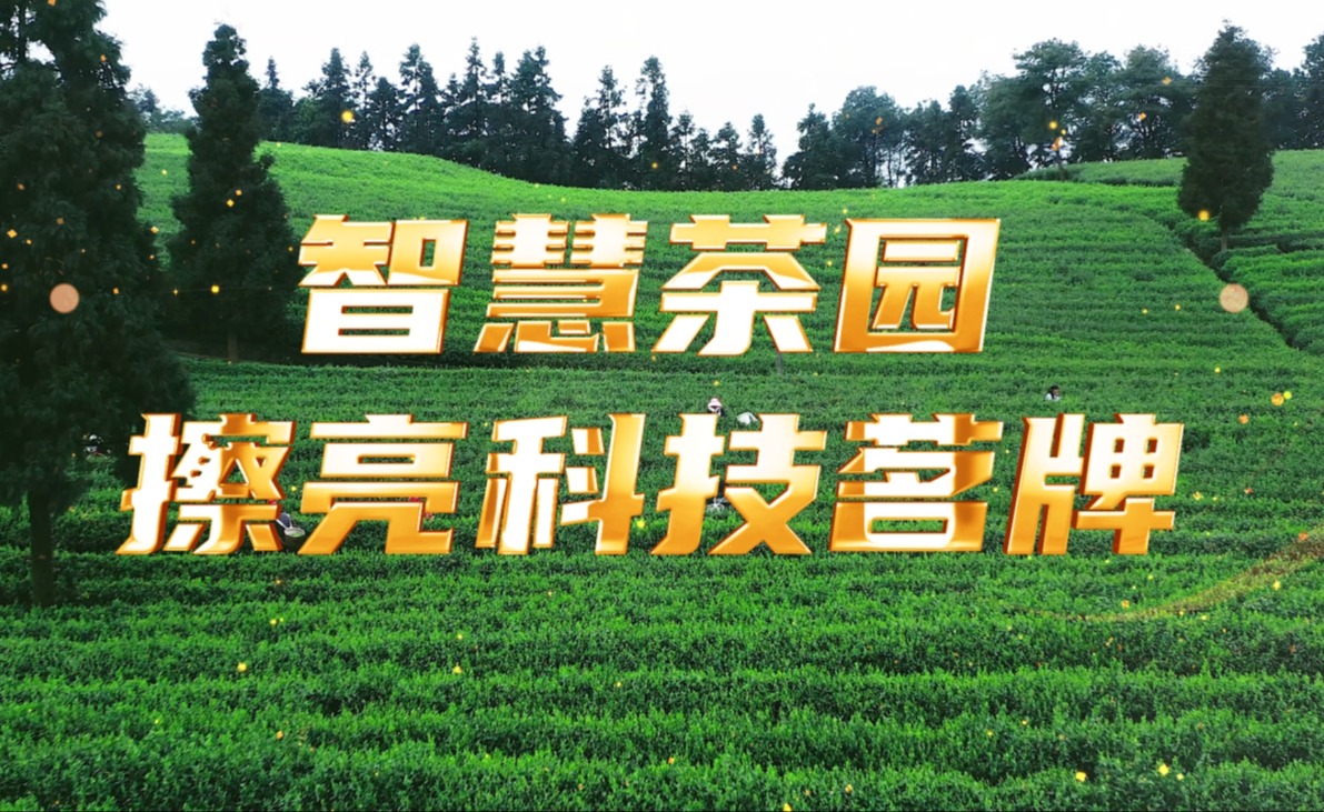 古怪猴子试玩官网入口茶园，擦亮科技茗牌