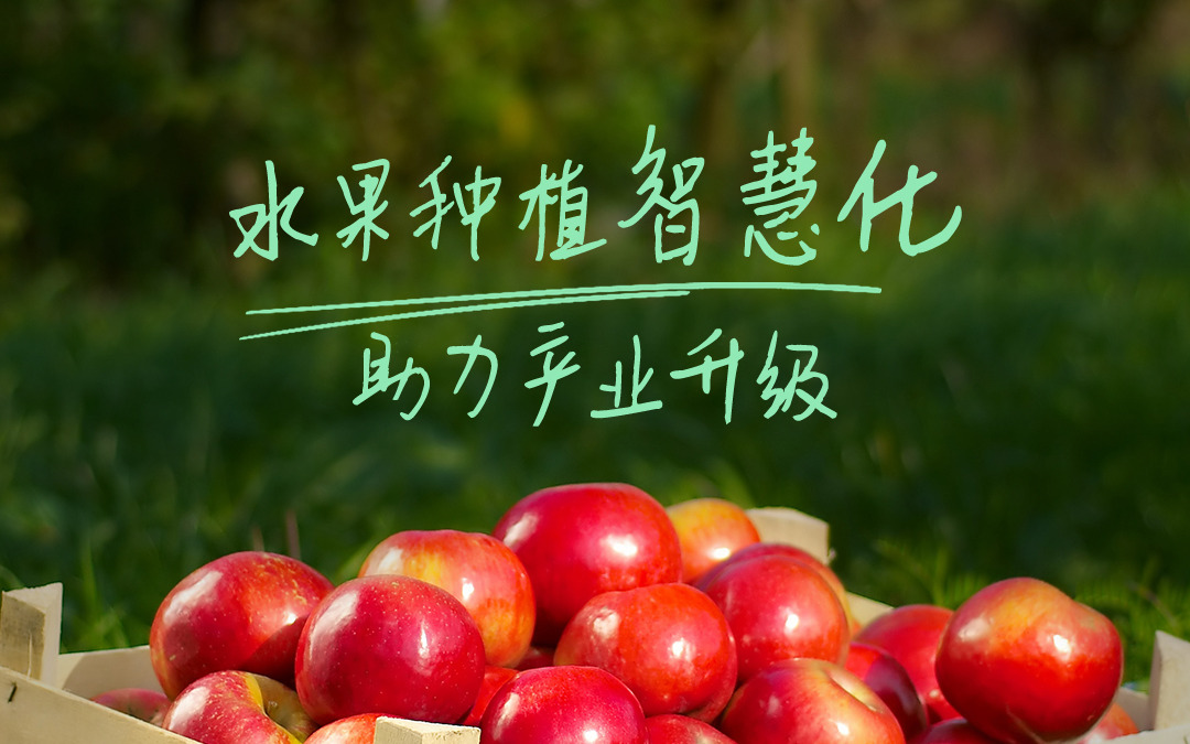 赛通科技发布古怪猴子试玩官网入口果园解决方案