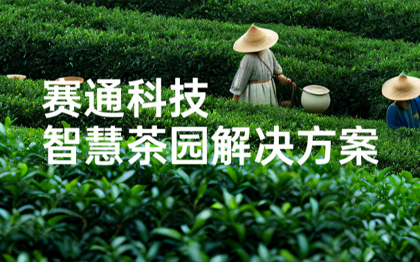 赛通科技发布古怪猴子试玩官网入口茶园解决方案