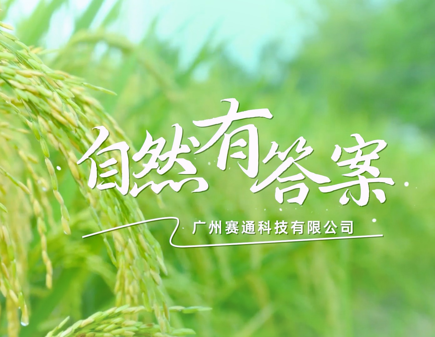 赛通科技企业宣传片——自然有答案